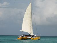 Catamaran sailboat